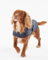 Quilted Dog Coat