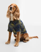 Tartan Fortrose Dog Shirt