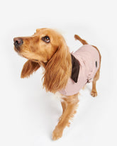 Quilted Dog Coat