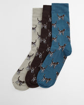 Pointer Dog Socks Gift Box