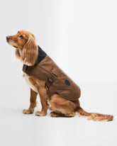 Waxed Dog Coat