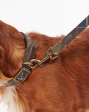 Tartan Webbing Dog Lead