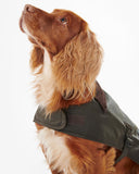 Waxed Dog Coat