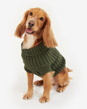 Saltburn Dog Jumper