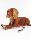 Reflective Tartan Dog Lead