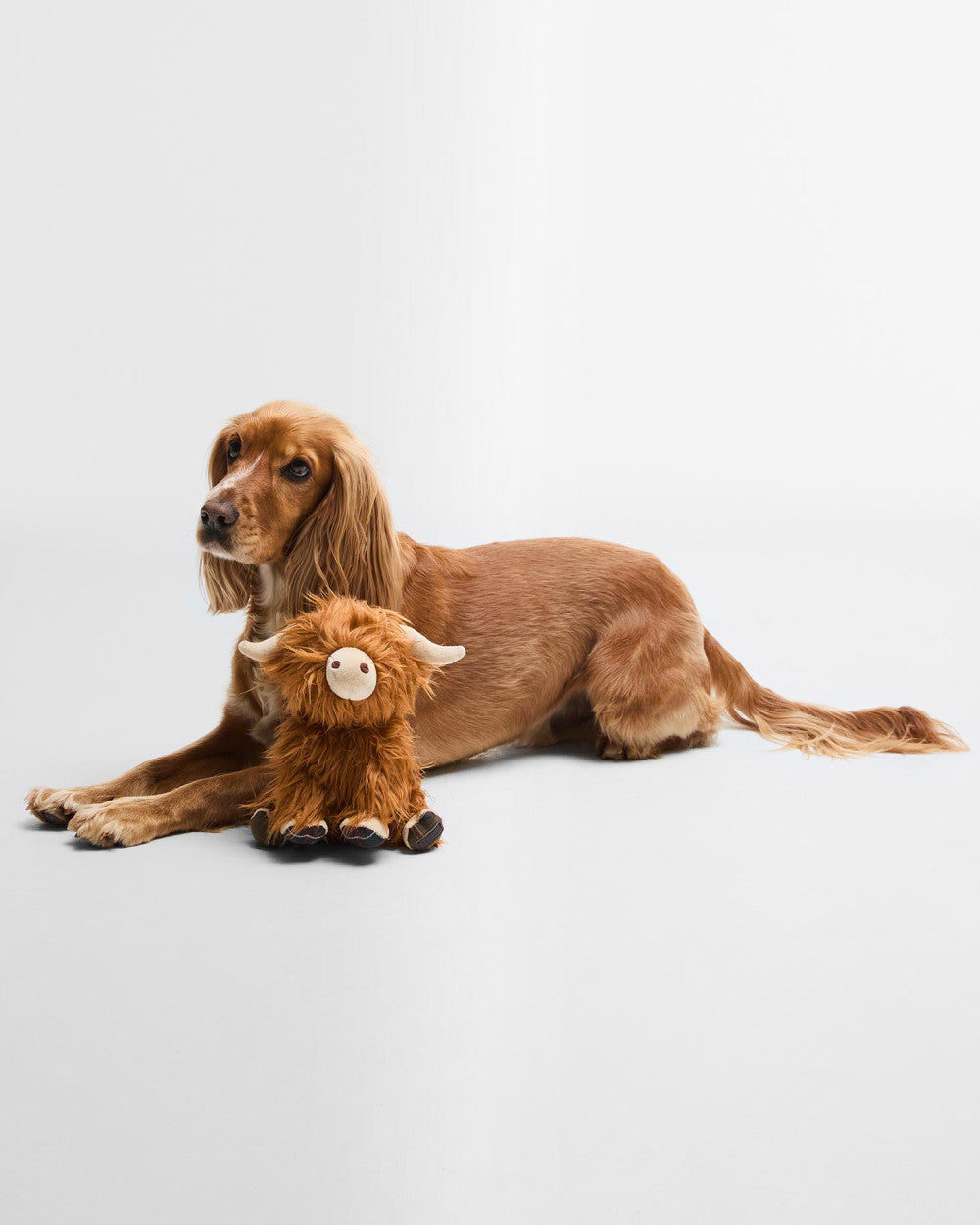 Highland Cow Dog Toy