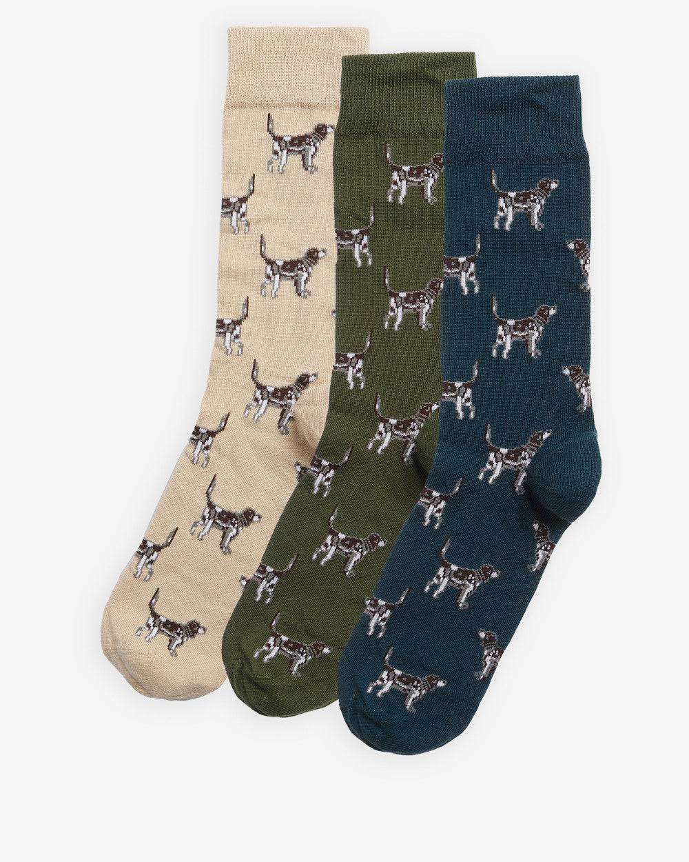 Pointer Dog Socks Gift Box
