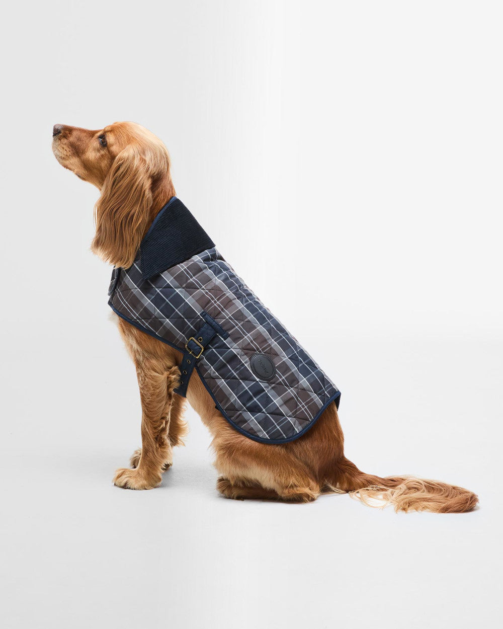 Tartan Dog Coat