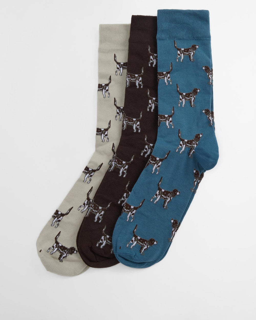 Pointer Dog Socks Gift Box